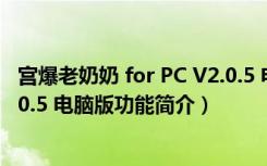 宫爆老奶奶 for PC V2.0.5 电脑版（宫爆老奶奶 for PC V2.0.5 电脑版功能简介）