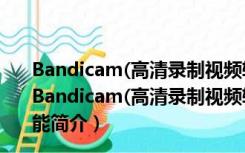 Bandicam(高清录制视频软件) V5.3.0.1879 汉化破解版（Bandicam(高清录制视频软件) V5.3.0.1879 汉化破解版功能简介）