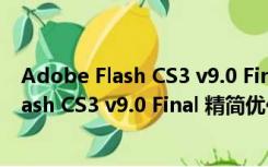 Adobe Flash CS3 v9.0 Final 精简优化英文版（Adobe Flash CS3 v9.0 Final 精简优化英文版功能简介）