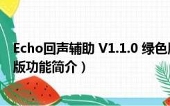 Echo回声辅助 V1.1.0 绿色版（Echo回声辅助 V1.1.0 绿色版功能简介）