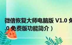 微信恢复大师电脑版 V1.0 免费版（微信恢复大师电脑版 V1.0 免费版功能简介）