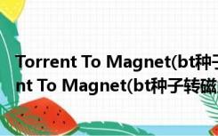 Torrent To Magnet(bt种子转磁力链工具) 绿色版（Torrent To Magnet(bt种子转磁力链工具) 绿色版功能简介）