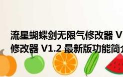 流星蝴蝶剑无限气修改器 V1.2 最新版（流星蝴蝶剑无限气修改器 V1.2 最新版功能简介）