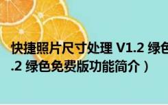 快捷照片尺寸处理 V1.2 绿色免费版（快捷照片尺寸处理 V1.2 绿色免费版功能简介）