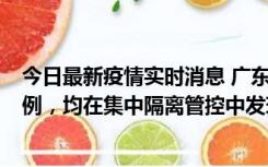 今日最新疫情实时消息 广东江门蓬江区新增3例本土确诊病例，均在集中隔离管控中发现