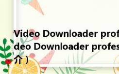 Video Downloader professional插件 V2.0.9 免费版（Video Downloader professional插件 V2.0.9 免费版功能简介）