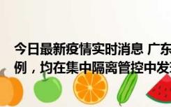 今日最新疫情实时消息 广东江门蓬江区新增3例本土确诊病例，均在集中隔离管控中发现