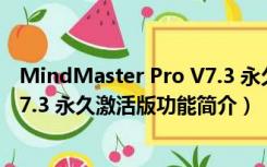 MindMaster Pro V7.3 永久激活版（MindMaster Pro V7.3 永久激活版功能简介）