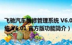 飞驰汽车维修管理系统 V6.01 官方版（飞驰汽车维修管理系统 V6.01 官方版功能简介）