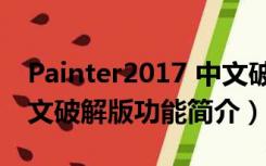 Painter2017 中文破解版（Painter2017 中文破解版功能简介）