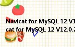 Navicat for MySQL 12 V12.0.29 X64 中文免费版（Navicat for MySQL 12 V12.0.29 X64 中文免费版功能简介）