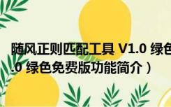 随风正则匹配工具 V1.0 绿色免费版（随风正则匹配工具 V1.0 绿色免费版功能简介）