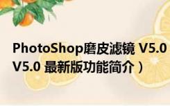 PhotoShop磨皮滤镜 V5.0 最新版（PhotoShop磨皮滤镜 V5.0 最新版功能简介）