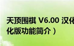 天顶围棋 V6.00 汉化版（天顶围棋 V6.00 汉化版功能简介）