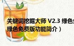 关键词挖掘大师 V2.3 绿色免费版（关键词挖掘大师 V2.3 绿色免费版功能简介）