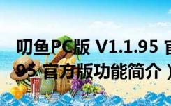 叨鱼PC版 V1.1.95 官方版（叨鱼PC版 V1.1.95 官方版功能简介）