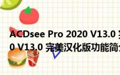 ACDsee Pro 2020 V13.0 完美汉化版（ACDsee Pro 2020 V13.0 完美汉化版功能简介）