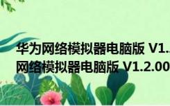 华为网络模拟器电脑版 V1.2.00.390 Win10免费版（华为网络模拟器电脑版 V1.2.00.390 Win10免费版功能简介）