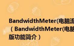 BandwidthMeter(电脑流量监控软件) 1.1 汉化绿色免费版（BandwidthMeter(电脑流量监控软件) 1.1 汉化绿色免费版功能简介）