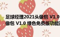 足球经理2021头像包 V1.0 绿色免费版（足球经理2021头像包 V1.0 绿色免费版功能简介）