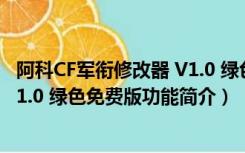 阿科CF军衔修改器 V1.0 绿色免费版（阿科CF军衔修改器 V1.0 绿色免费版功能简介）