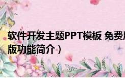 软件开发主题PPT模板 免费版（软件开发主题PPT模板 免费版功能简介）