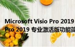 Microsoft Visio Pro 2019 专业激活版（Microsoft Visio Pro 2019 专业激活版功能简介）