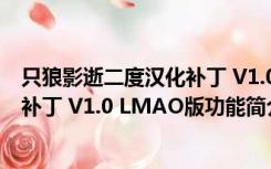 只狼影逝二度汉化补丁 V1.0 LMAO版（只狼影逝二度汉化补丁 V1.0 LMAO版功能简介）