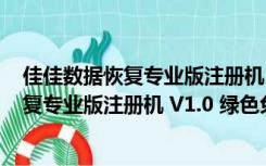 佳佳数据恢复专业版注册机 V1.0 绿色免费版（佳佳数据恢复专业版注册机 V1.0 绿色免费版功能简介）