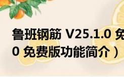 鲁班钢筋 V25.1.0 免费版（鲁班钢筋 V25.1.0 免费版功能简介）