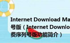 Internet Download Manager注册机 V6.41.3 免费序列号版（Internet Download Manager注册机 V6.41.3 免费序列号版功能简介）