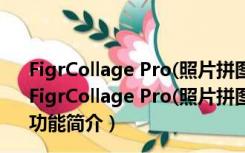 FigrCollage Pro(照片拼图软件电脑版) V2.5.11.0 官方版（FigrCollage Pro(照片拼图软件电脑版) V2.5.11.0 官方版功能简介）