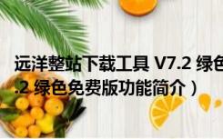 远洋整站下载工具 V7.2 绿色免费版（远洋整站下载工具 V7.2 绿色免费版功能简介）