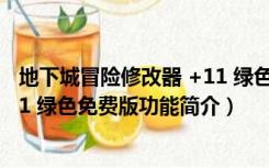 地下城冒险修改器 +11 绿色免费版（地下城冒险修改器 +11 绿色免费版功能简介）