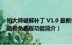 拍大师破解补丁 V1.0 最新免费版（拍大师破解补丁 V1.0 最新免费版功能简介）