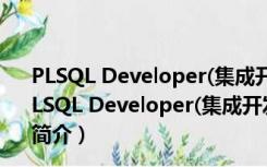 PLSQL Developer(集成开发环境) V11.0.5 官方中文版（PLSQL Developer(集成开发环境) V11.0.5 官方中文版功能简介）