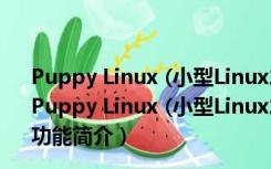 Puppy Linux (小型Linux发行版) V5.3.3 英文官方安装版（Puppy Linux (小型Linux发行版) V5.3.3 英文官方安装版功能简介）