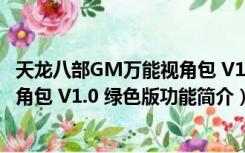 天龙八部GM万能视角包 V1.0 绿色版（天龙八部GM万能视角包 V1.0 绿色版功能简介）