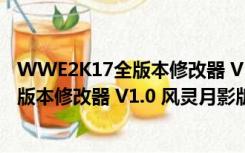 WWE2K17全版本修改器 V1.0 风灵月影版（WWE2K17全版本修改器 V1.0 风灵月影版功能简介）