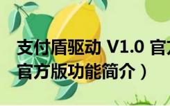 支付盾驱动 V1.0 官方版（支付盾驱动 V1.0 官方版功能简介）