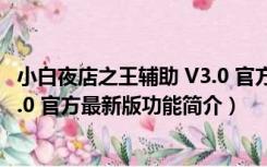 小白夜店之王辅助 V3.0 官方最新版（小白夜店之王辅助 V3.0 官方最新版功能简介）