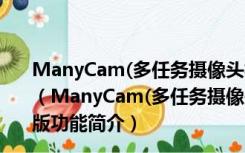 ManyCam(多任务摄像头视频工具) V7.8.1.15 官方免费版（ManyCam(多任务摄像头视频工具) V7.8.1.15 官方免费版功能简介）