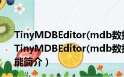 TinyMDBEditor(mdb数据库编辑器) V1.1.9 绿色中文版（TinyMDBEditor(mdb数据库编辑器) V1.1.9 绿色中文版功能简介）