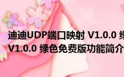 迪迪UDP端口映射 V1.0.0 绿色免费版（迪迪UDP端口映射 V1.0.0 绿色免费版功能简介）