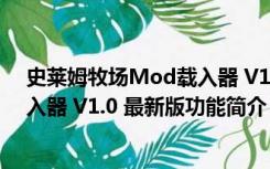 史莱姆牧场Mod载入器 V1.0 最新版（史莱姆牧场Mod载入器 V1.0 最新版功能简介）