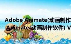 Adobe Animate(动画制作软件) V20.5.1 免费版（Adobe Animate(动画制作软件) V20.5.1 免费版功能简介）