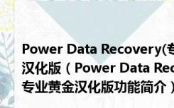 Power Data Recovery(专业数据恢复软件) V7.0 专业黄金汉化版（Power Data Recovery(专业数据恢复软件) V7.0 专业黄金汉化版功能简介）