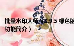 批量水印大师 V3.9.5 绿色版（批量水印大师 V3.9.5 绿色版功能简介）