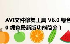 AVI文件修复工具 V6.0 绿色最新版（AVI文件修复工具 V6.0 绿色最新版功能简介）