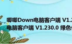 唧唧Down电脑客户端 V1.230.0 绿色便携版（唧唧Down电脑客户端 V1.230.0 绿色便携版功能简介）